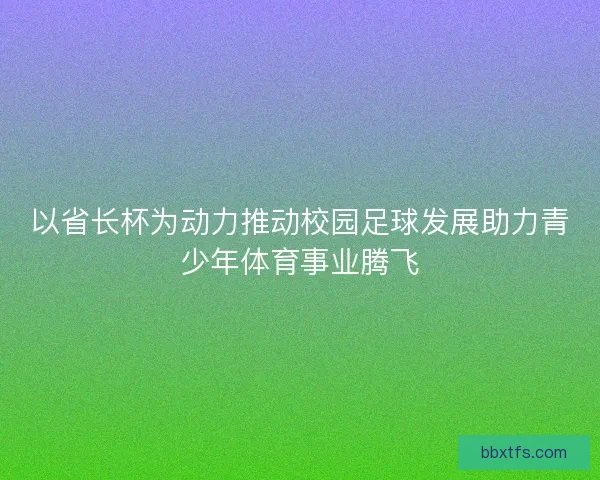 以省长杯为动力推动校园足球发展助力青少年体育事业腾飞